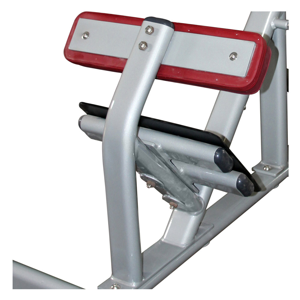 FW-1006 Hyperextension - Buy back hyperextension machine, superman back ...