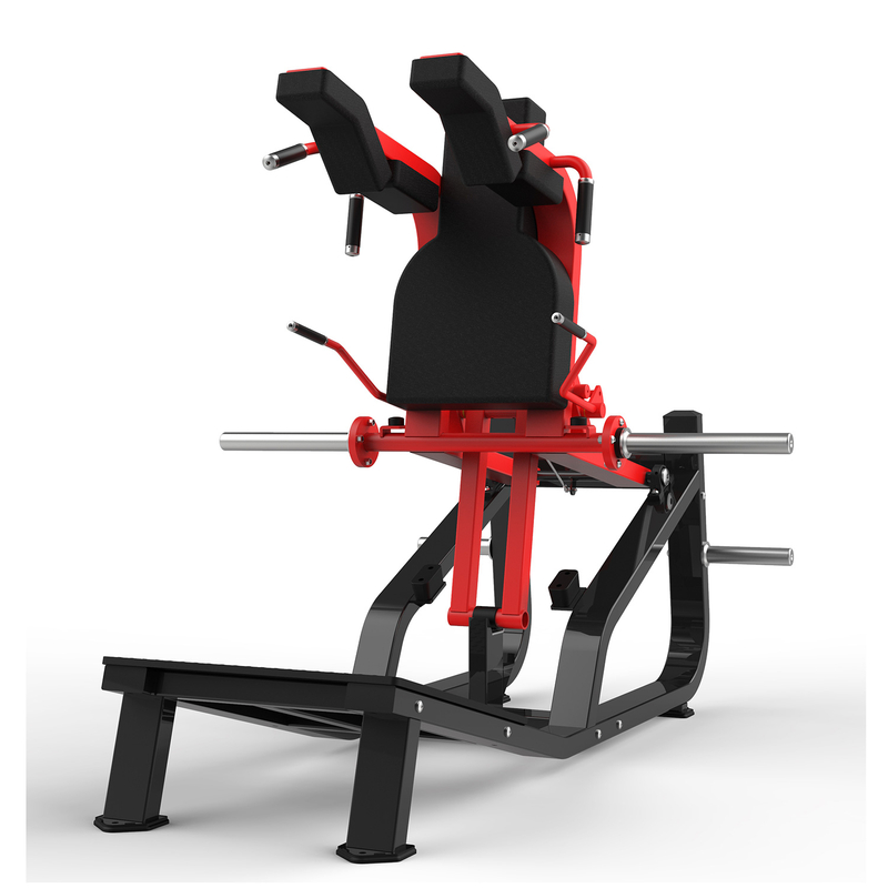 RS-1035 Bothway Squat
