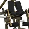 LD-2002 Kneeling Curl